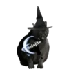 SPOOKY SEASON 12