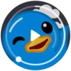 Blue Duck 10