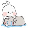 Rabbit 8 12