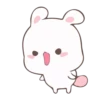 Rabbit 14