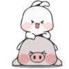 Rabbit 8 14