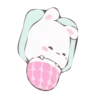 Rabbit 15