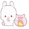 Rabbit 16