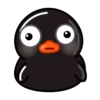 Black Duck 13
