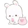Rabbit 17