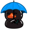 Black Duck 15