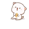 Cutie cat 18