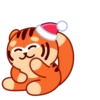 New Year Tiger 9