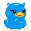 Blue Duck 14