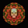 Dia dos Mortos ️1 15