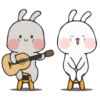 Rabbit 8 16