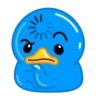 Blue Duck 15