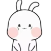 Rabbit 8 17