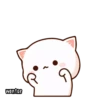 Mochi Cat 13