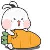 Rabbit 8 18