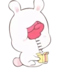 Rabbit 20