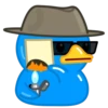 Blue Duck 16