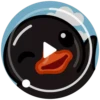 Black Duck 20