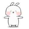 Rabbit 8 19