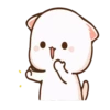 Cat 13