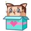 Human Box 12