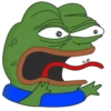 frog 23