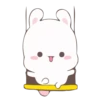 Rabbit 22