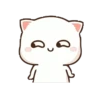 Cutie cat 19