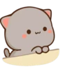 Cutie cat 20