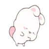 Rabbit 24
