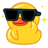 Duck 16
