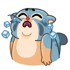 Snow Manul 11