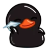 Black Duck 23