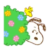 SNOOPY SWEET SUMMER BLANCA AT 21