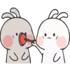 Rabbit 8 23