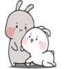 Rabbit 8 24
