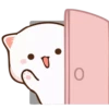 Cutie cat 25