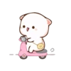Cutie cat 26