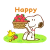 Happy LLE Ли 14
