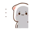Cat 21