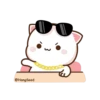 Cutie cat 27