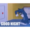 Buenas noches 8 🌚MOV. 🇲🇽 29