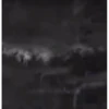 MEMES ANIMATED 6 (italiani) 28