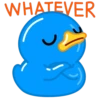 Blue Duck 21