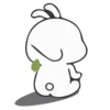Rabbit 8 28