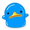 Blue Duck 23