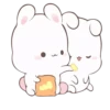 Rabbit 27