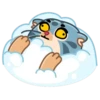 Snow Manul 18