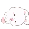 Rabbit 29