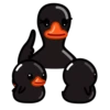 Black Duck 25